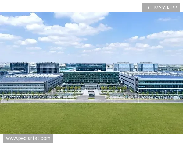 凯发地址官方地址最新入口，确保安全稳定的登录体验